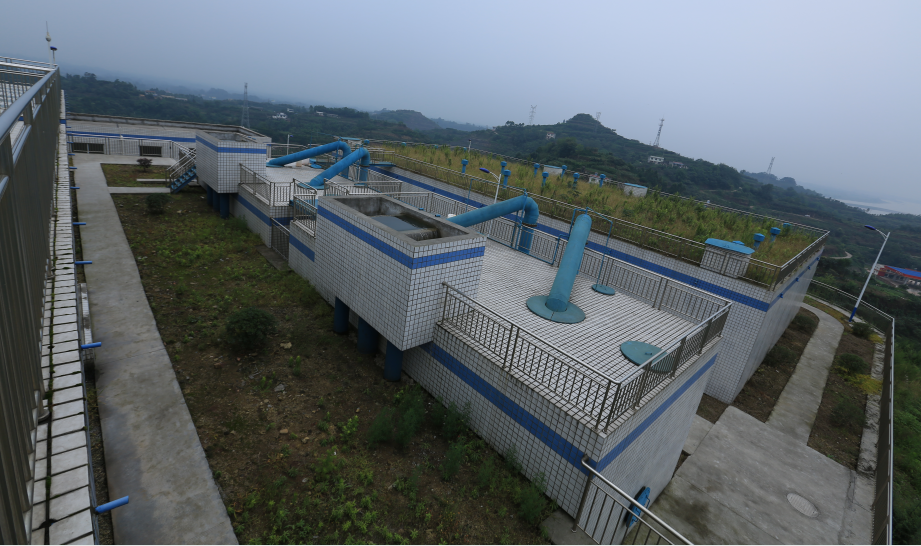 乐山五通桥区人口_乐山大佛