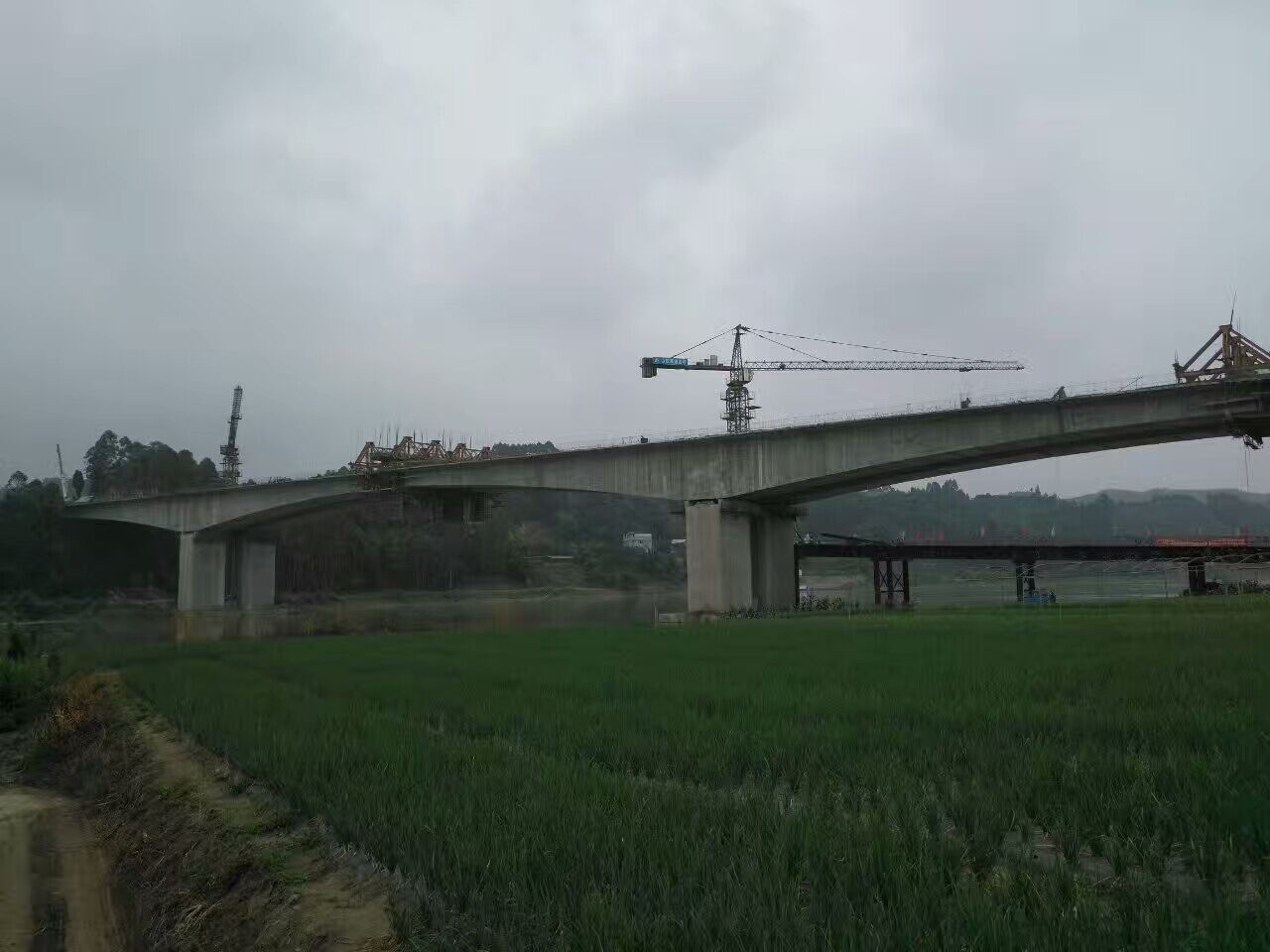 乐自高速乐山城区连接线项目岷江四桥主桥双幅合龙