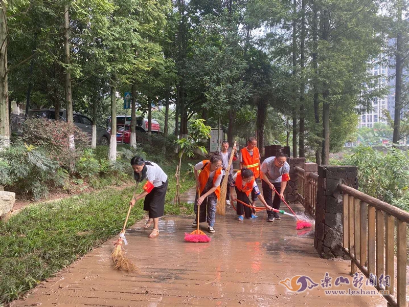 王河社区志愿服务队参与清淤