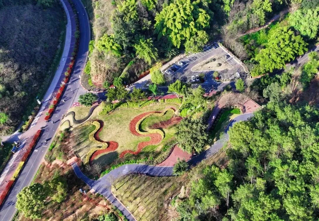 刚刚打造的嘉州绿心公园-海棠盛景生态园（市住房和城乡建设局供图）