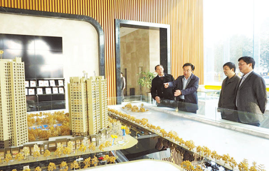 乐山市城镇危旧房和棚户区改造工作成效显著 